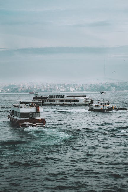 cargo ship riding over the tsunami waves that hit 1755498697