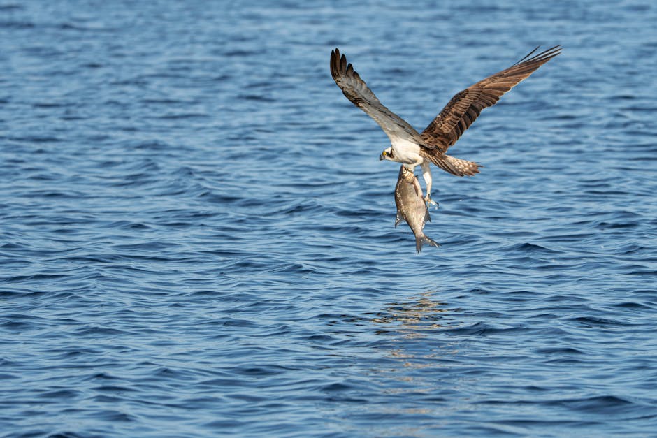 seemed to be worried about a possible aerial assau 1755302570